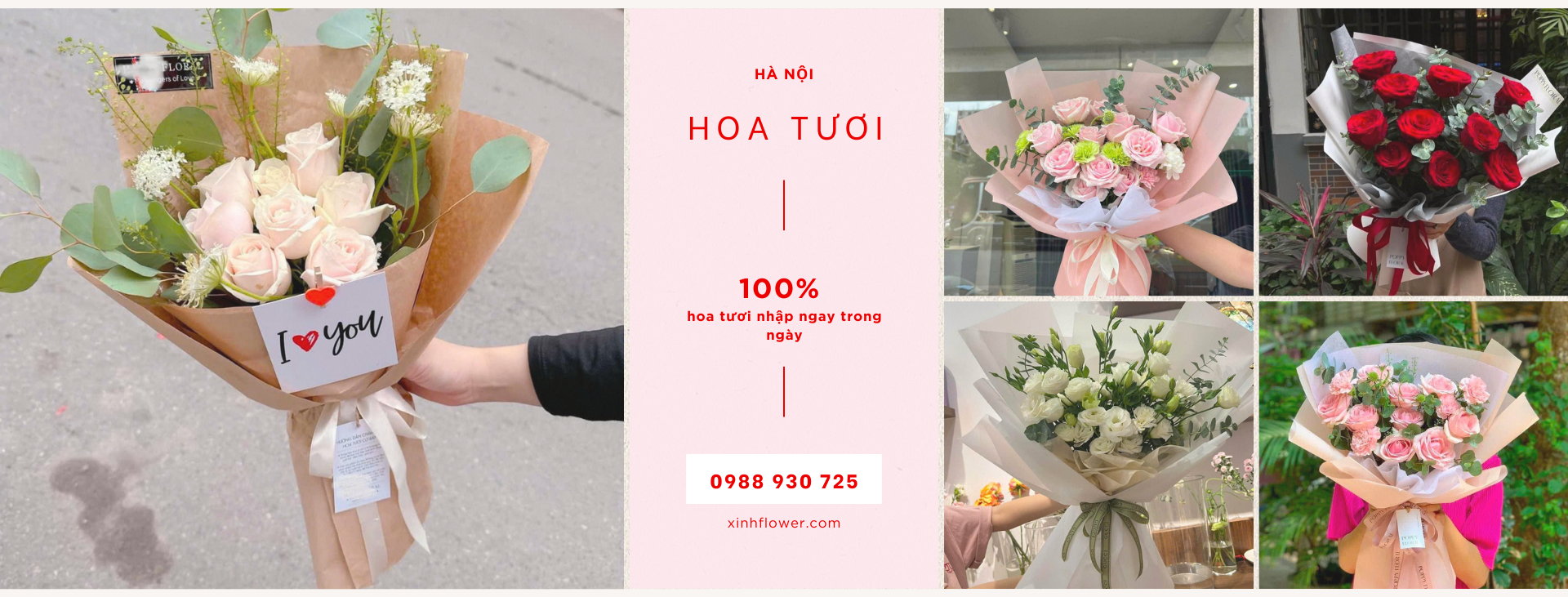 Mẫu hoa sáp, ngũ mới nhất