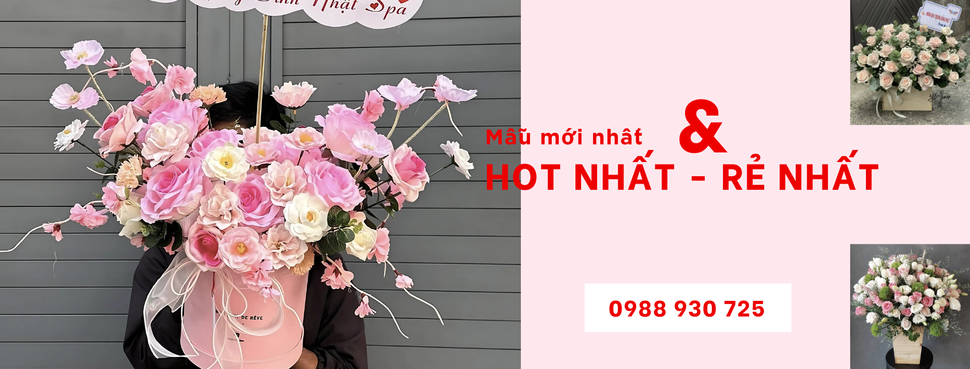 Mẫu hoa sáp, ngũ mới nhất