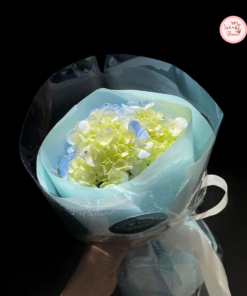 Bó hoa cẩm tú cầu tone xanh xinh xắn