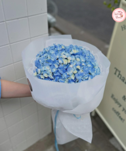 Bó hoa cẩm tú cầu tone xanh xinh xắn