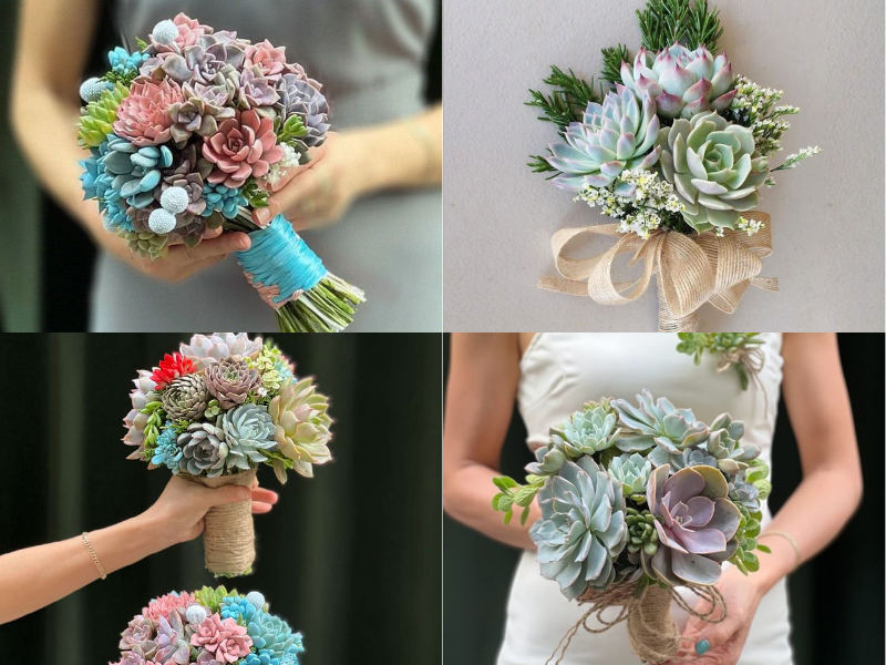 Giải mã độ hot của hoa cưới sen đá