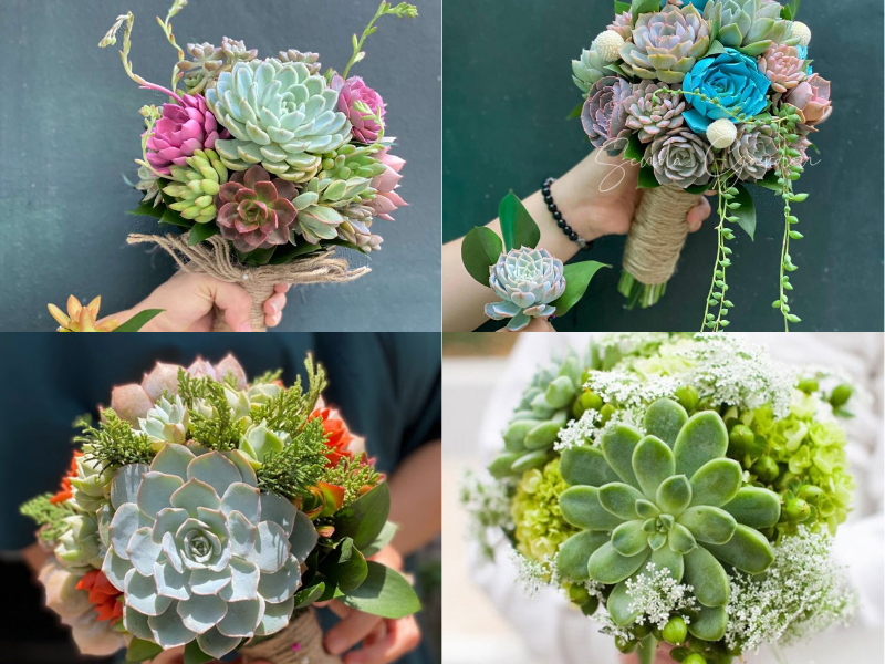 Giải mã độ hot của hoa cưới sen đá