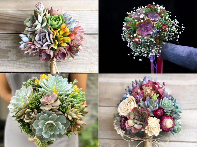 Giải mã độ hot của hoa cưới sen đá