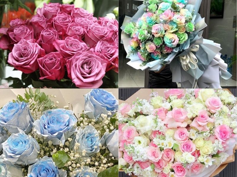  Hoa hồng Ecuador: Nguồn gốc, đặc điểm, ý nghĩa và cách trồng