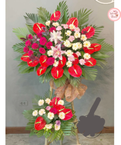 Tổng hợp kế hoa chúc mừng, hoa khai trương tone đỏ may mắn