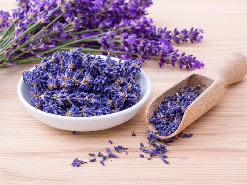 Hoa lavender ý nghĩa là gì?